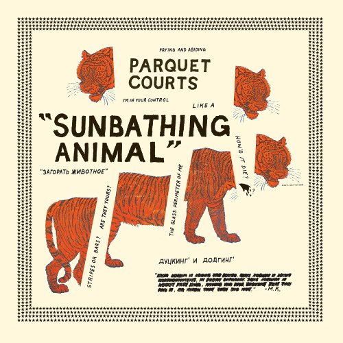 Parquet Courts, Sunbathing Animal