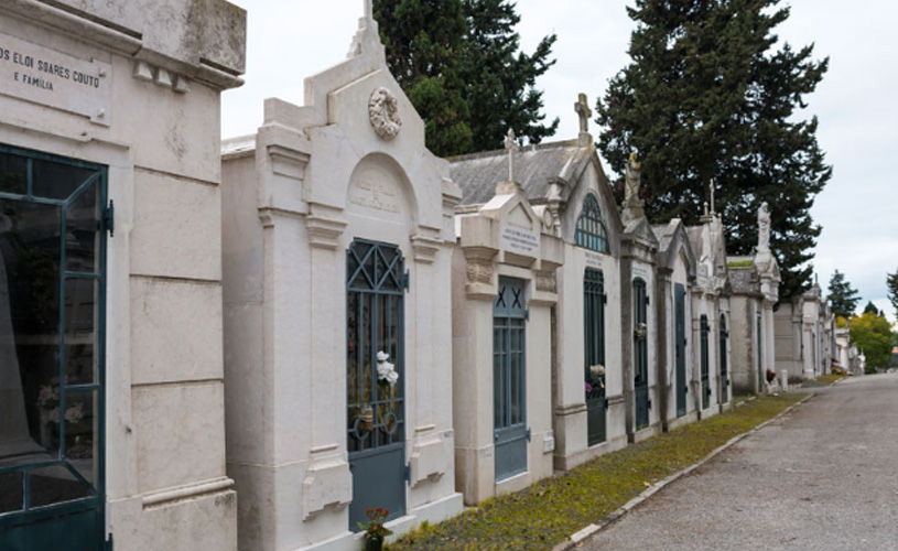 Visita guiada ao Cemitério dos Prazeres: Músicos – Voltas e Notas