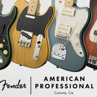 fender american professional series banner