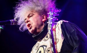 melvins minnesota