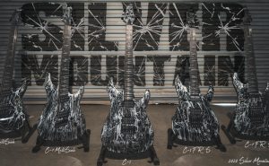 schecter guitars silver mountain series