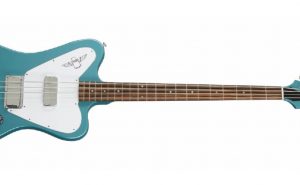 Non-Reverse Thunderbird Bass
