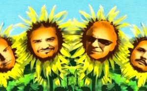 tomahawk sunflowers