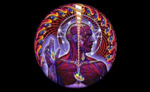tool lateralus picture disc