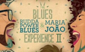blues experience II